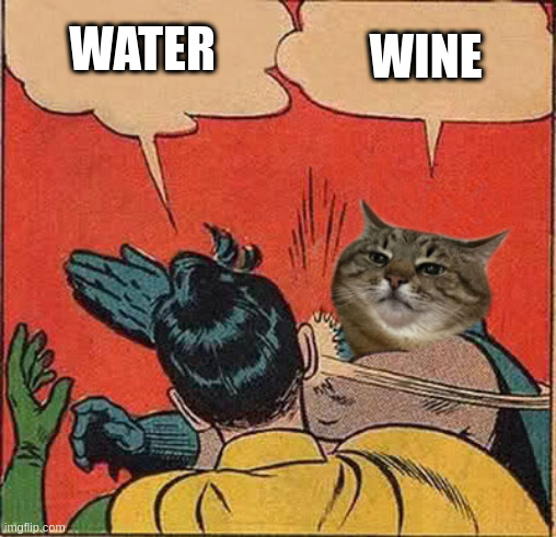Water vs Wine | WATER; WINE | image tagged in stepanman slapping robin,water,wine,stepan cat,alcohol,cat | made w/ Imgflip meme maker