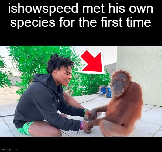 ISHOWSPEED MET HIS BROTHERIN | ishowspeed met his own species for the first time | image tagged in ishowspeed | made w/ Imgflip meme maker