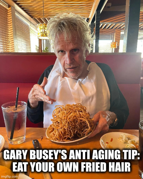 deep fried buse | GARY BUSEY'S ANTI AGING TIP:
EAT YOUR OWN FRIED HAIR | image tagged in memes | made w/ Imgflip meme maker