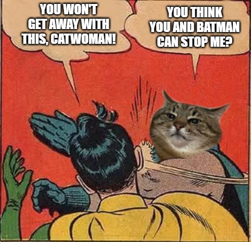 Robin vs Catwoman | YOU WON'T GET AWAY WITH THIS, CATWOMAN! YOU THINK YOU AND BATMAN CAN STOP ME? | image tagged in stepanman slapping robin | made w/ Imgflip meme maker
