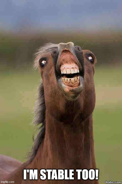 horse face | I'M STABLE TOO! | image tagged in horse face | made w/ Imgflip meme maker