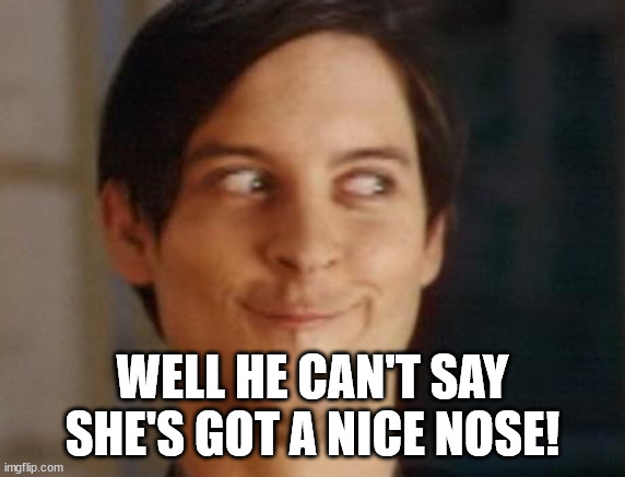 Spiderman Peter Parker Meme | WELL HE CAN'T SAY SHE'S GOT A NICE NOSE! | image tagged in memes,spiderman peter parker | made w/ Imgflip meme maker
