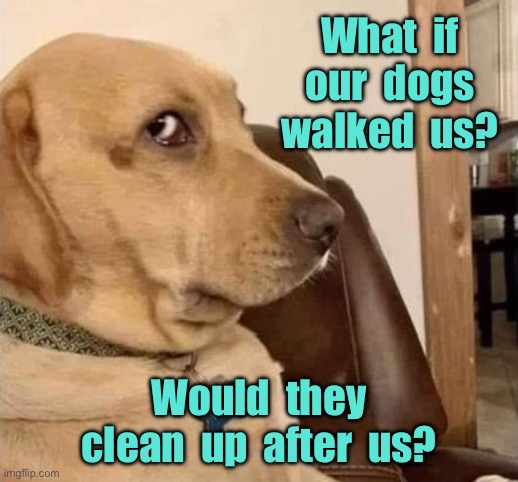 Dogs walked us. | What  if our  dogs walked  us? Would  they clean  up  after  us? | image tagged in not so sure,dogs walked us,i wonder,clean up any mess,we made | made w/ Imgflip meme maker