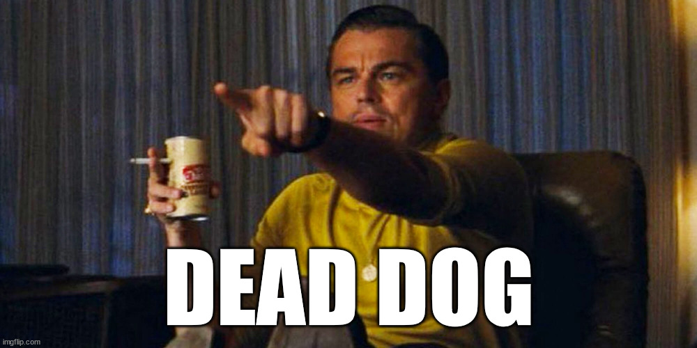 Leo pointing | DEAD DOG | image tagged in leo pointing | made w/ Imgflip meme maker