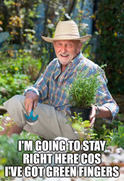 Herb in the Garden | I'M GOING TO STAY RIGHT HERE COS I'VE GOT GREEN FINGERS | image tagged in herb in the garden | made w/ Imgflip meme maker