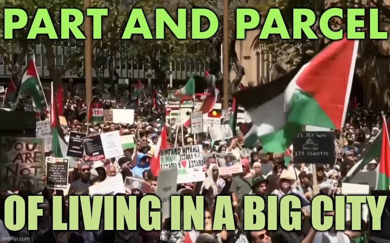 'Part and parcel of living in a big city' | PART AND PARCEL; OF LIVING IN A BIG CITY | image tagged in pro-palestine rally in sydney,sydney,meanwhile in australia,australia,palestine,israel | made w/ Imgflip meme maker