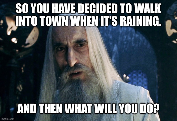 And then what will you do! | SO YOU HAVE DECIDED TO WALK INTO TOWN WHEN IT’S RAINING. AND THEN WHAT WILL YOU DO? | image tagged in lord of the rings | made w/ Imgflip meme maker