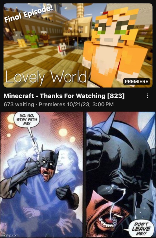 NO | image tagged in minecraft | made w/ Imgflip meme maker