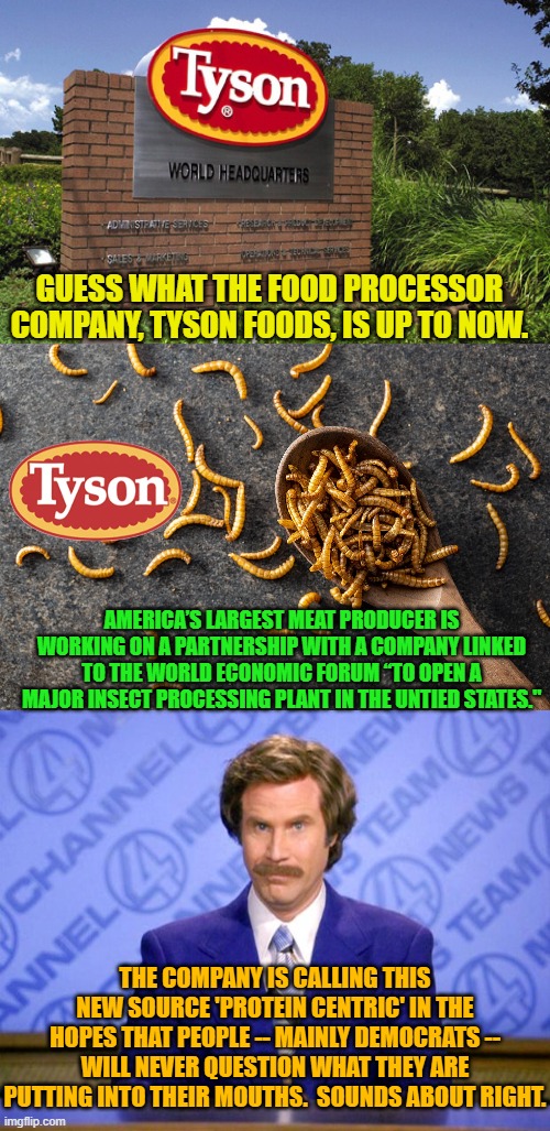 Yes, this is actually happening.  This is our nation on leftism. | GUESS WHAT THE FOOD PROCESSOR COMPANY, TYSON FOODS, IS UP TO NOW. AMERICA’S LARGEST MEAT PRODUCER IS WORKING ON A PARTNERSHIP WITH A COMPANY LINKED TO THE WORLD ECONOMIC FORUM “TO OPEN A MAJOR INSECT PROCESSING PLANT IN THE UNTIED STATES."; THE COMPANY IS CALLING THIS NEW SOURCE 'PROTEIN CENTRIC' IN THE HOPES THAT PEOPLE -- MAINLY DEMOCRATS -- WILL NEVER QUESTION WHAT THEY ARE PUTTING INTO THEIR MOUTHS.  SOUNDS ABOUT RIGHT. | image tagged in truth | made w/ Imgflip meme maker