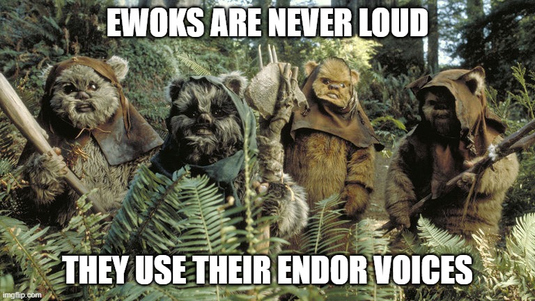 Quiet | EWOKS ARE NEVER LOUD; THEY USE THEIR ENDOR VOICES | image tagged in ewok | made w/ Imgflip meme maker