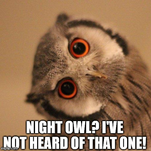 inquisitve owl | NIGHT OWL? I'VE NOT HEARD OF THAT ONE! | image tagged in inquisitve owl | made w/ Imgflip meme maker