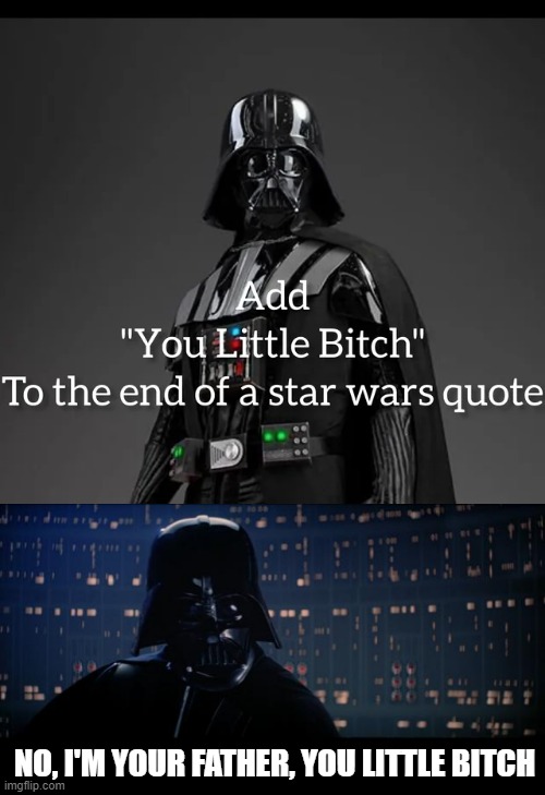 Nothing's Gonna Top This! | NO, I'M YOUR FATHER, YOU LITTLE BITCH | image tagged in memes,star wars no | made w/ Imgflip meme maker