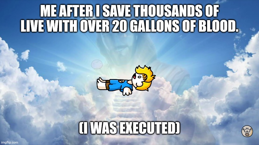 Meme | ME AFTER I SAVE THOUSANDS OF LIVE WITH OVER 20 GALLONS OF BLOOD. (I WAS EXECUTED) | image tagged in the apotheosis of bryson | made w/ Imgflip meme maker