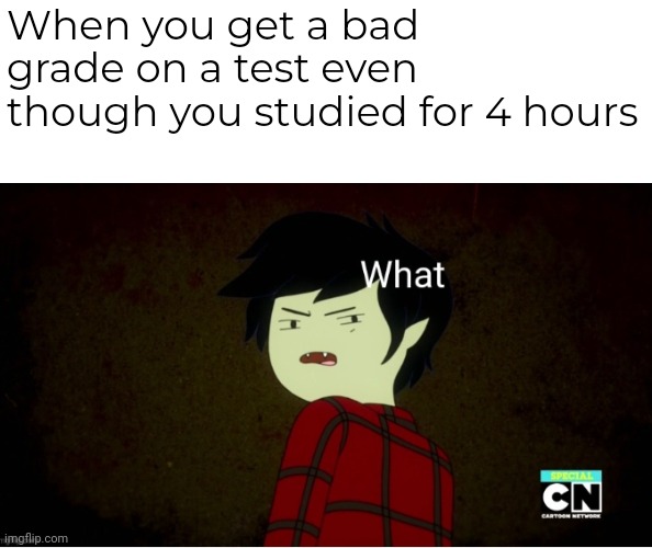 Marshall Lee what | When you get a bad grade on a test even though you studied for 4 hours | image tagged in marshall lee what,school | made w/ Imgflip meme maker