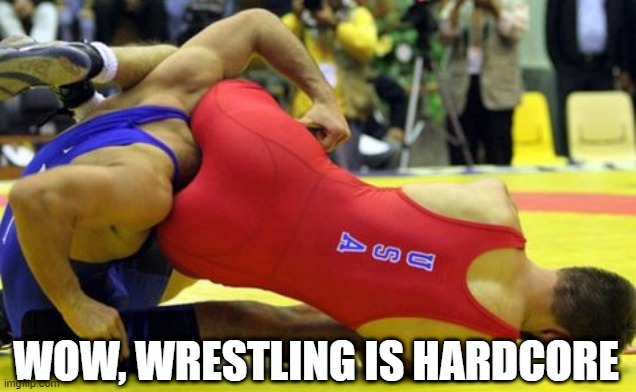 Hardcore Wrestling | WOW, WRESTLING IS HARDCORE | image tagged in wrestling | made w/ Imgflip meme maker