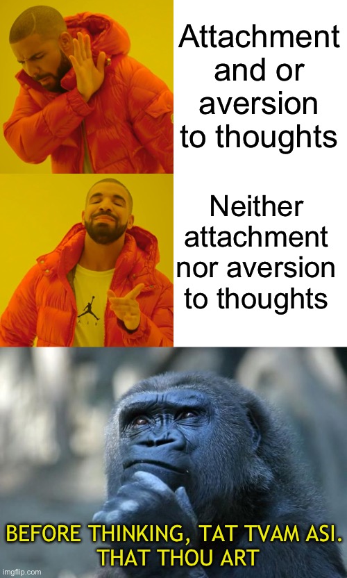Who or what Am I? | Attachment and or aversion to thoughts; Neither attachment nor aversion to thoughts; BEFORE THINKING, TAT TVAM ASI.
 THAT THOU ART | image tagged in memes,drake hotline bling,deep thoughts | made w/ Imgflip meme maker