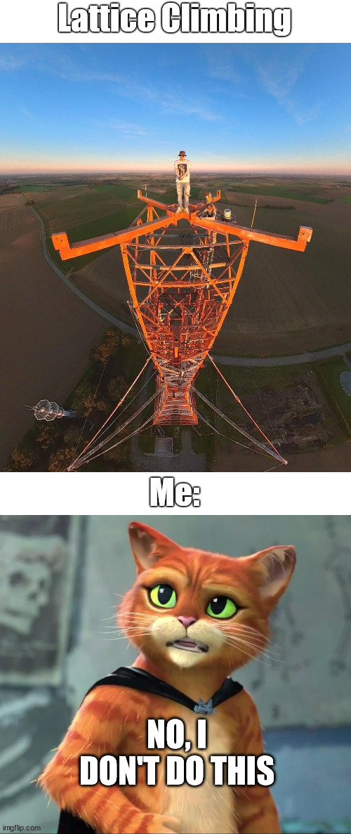 Puss In Boots | Lattice Climbing; Me:; NO, I DON'T DO THIS | image tagged in lattice climbing,puss in boots,meme,memes,tower | made w/ Imgflip meme maker