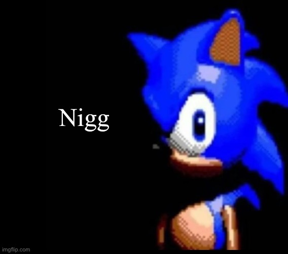 Sonic stares | Nigg | image tagged in sonic stares | made w/ Imgflip meme maker