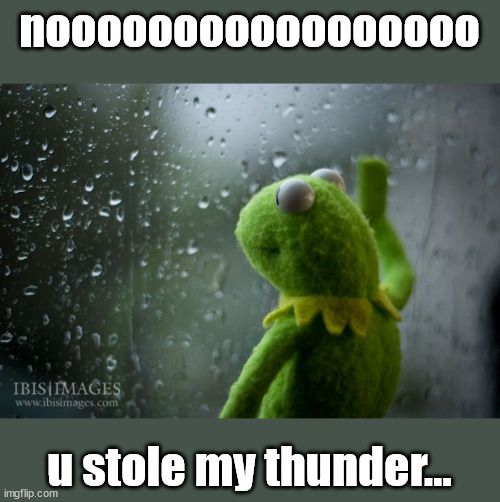 kermit window | nooooooooooooooooo u stole my thunder... | image tagged in kermit window | made w/ Imgflip meme maker