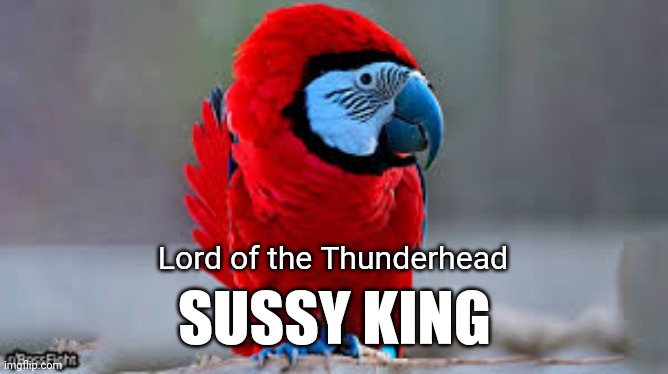 Sky Country Boss | Lord of the Thunderhead; SUSSY KING | image tagged in r/bossfight | made w/ Imgflip meme maker