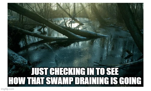 Still Swmapy | JUST CHECKING IN TO SEE HOW THAT SWAMP DRAINING IS GOING | image tagged in politics | made w/ Imgflip meme maker