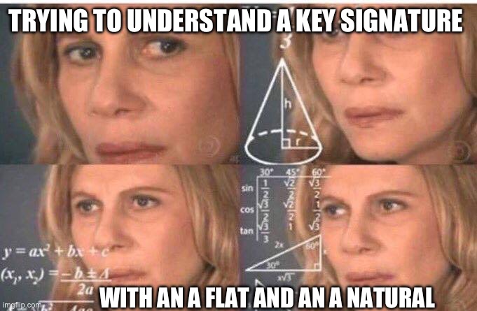 Math lady/Confused lady | TRYING TO UNDERSTAND A KEY SIGNATURE; WITH AN A FLAT AND AN A NATURAL | image tagged in math lady/confused lady,key,music | made w/ Imgflip meme maker