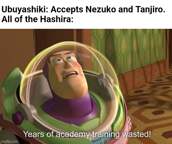 Y u do dis Mastah?! | Ubuyashiki: Accepts Nezuko and Tanjiro.
All of the Hashira: | image tagged in years of academy training wasted | made w/ Imgflip meme maker