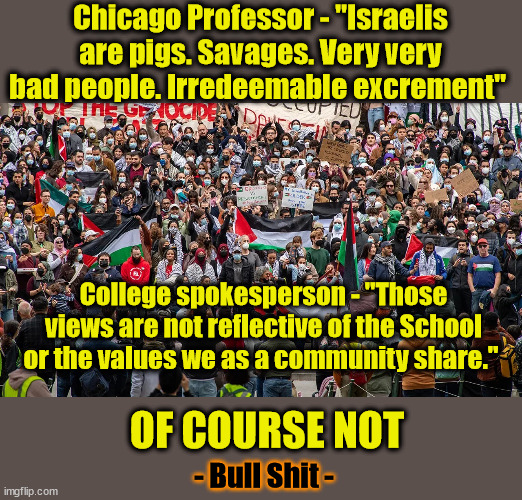 If it walks like a duck... | Chicago Professor - "Israelis are pigs. Savages. Very very bad people. Irredeemable excrement"; College spokesperson - "Those views are not reflective of the School or the values we as a community share."; OF COURSE NOT; - Bull Shit - | image tagged in college liberal,propaganda,liberal logic | made w/ Imgflip meme maker