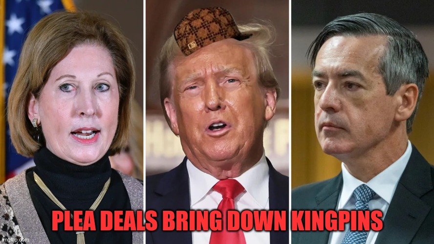 Just a matter of time now | PLEA DEALS BRING DOWN KINGPINS | image tagged in treason,trump,gop,fascism,criminal,insurrectionist | made w/ Imgflip meme maker