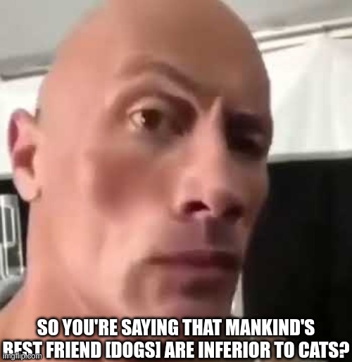The Rock Eyebrows | SO YOU'RE SAYING THAT MANKIND'S BEST FRIEND [DOGS] ARE INFERIOR TO CATS? | image tagged in the rock eyebrows | made w/ Imgflip meme maker