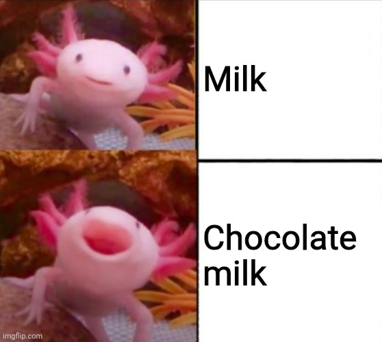 axolotl drake | Milk; Chocolate milk | image tagged in axolotl drake | made w/ Imgflip meme maker