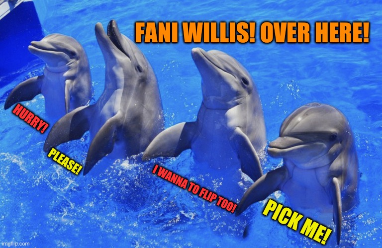 Four flipping dolphins | FANI WILLIS! OVER HERE! HURRY! I WANNA TO FLIP TOO! PLEASE! PICK ME! | image tagged in four flipping dolphins | made w/ Imgflip meme maker