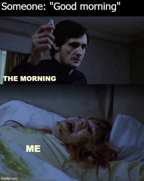 Mornings were always my holy water | Someone: "Good morning"; THE MORNING; ME | image tagged in the exorcist,funny,mornings | made w/ Imgflip meme maker