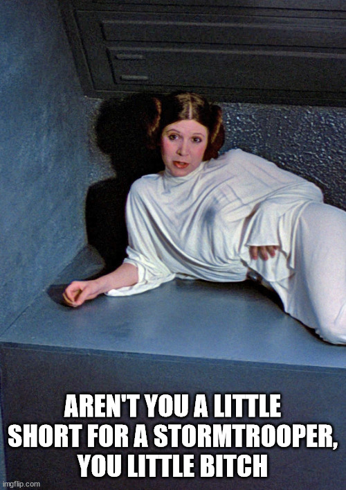 Star Wars Leia short for a stormtrooper | AREN'T YOU A LITTLE SHORT FOR A STORMTROOPER,
YOU LITTLE BITCH | image tagged in star wars leia short for a stormtrooper | made w/ Imgflip meme maker