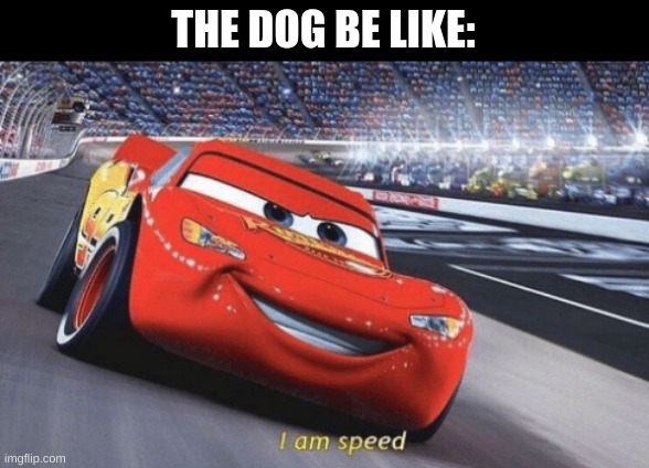 I am speed | THE DOG BE LIKE: | image tagged in i am speed | made w/ Imgflip meme maker