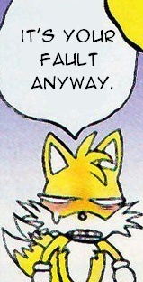 tails its your fault anyway Blank Meme Template