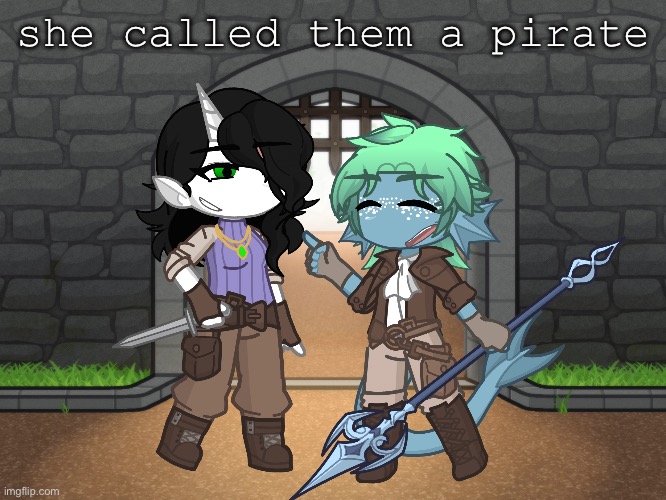 if my dnd characters from separate campaigns met | she called them a pirate | image tagged in gacha,ocs | made w/ Imgflip meme maker