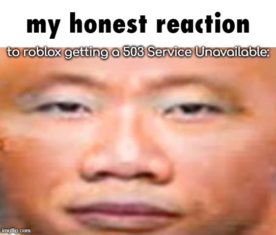 WHY ROBLOX!? | to roblox getting a 503 Service Unavailable: | image tagged in my honest reaction | made w/ Imgflip meme maker