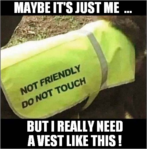 You Have Been Warned ! | MAYBE IT'S JUST ME  ... BUT I REALLY NEED A VEST LIKE THIS ! | image tagged in do not touch,warning | made w/ Imgflip meme maker