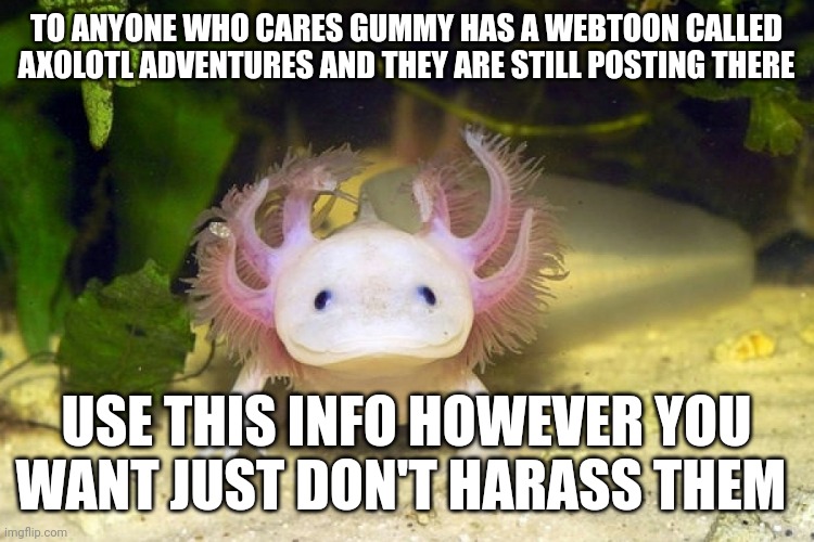 Axolotl | TO ANYONE WHO CARES GUMMY HAS A WEBTOON CALLED AXOLOTL ADVENTURES AND THEY ARE STILL POSTING THERE; USE THIS INFO HOWEVER YOU WANT JUST DON'T HARASS THEM | image tagged in axolotl | made w/ Imgflip meme maker