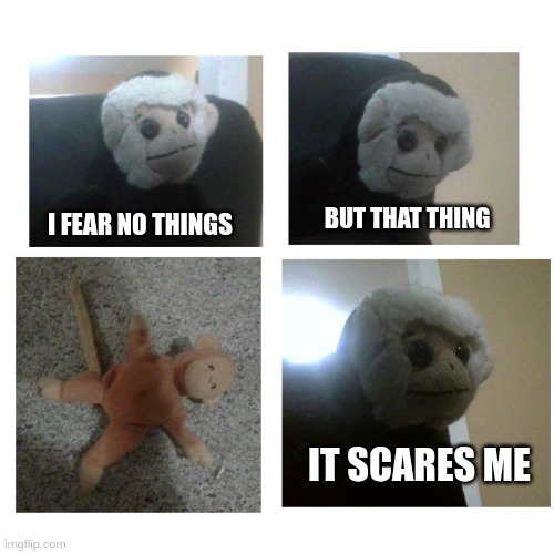 I Fear No Thing | BUT THAT THING; I FEAR NO THINGS; IT SCARES ME | image tagged in imgflip | made w/ Imgflip meme maker