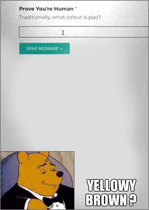 Are You Human ? | YELLOWY BROWN ? | image tagged in human,poo,pooh,dark humour | made w/ Imgflip meme maker