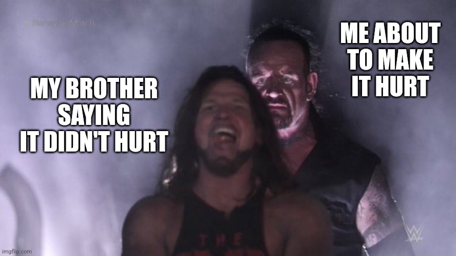 I hate when he does this to me | ME ABOUT TO MAKE IT HURT; MY BROTHER SAYING IT DIDN'T HURT | image tagged in aj styles undertaker | made w/ Imgflip meme maker