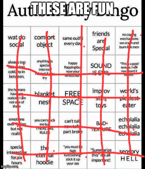 autism bingo | THESE ARE FUN | image tagged in autism bingo | made w/ Imgflip meme maker