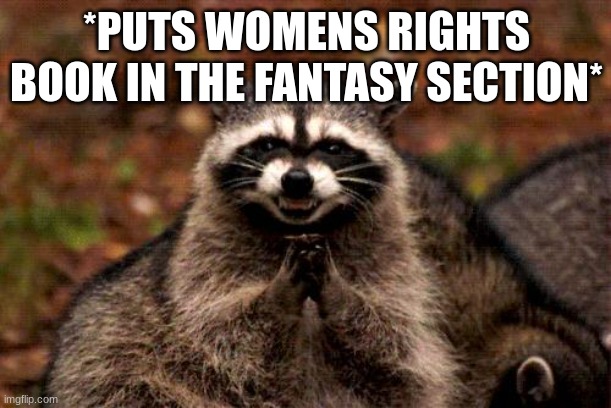 Evil Plotting Raccoon Meme | *PUTS WOMENS RIGHTS BOOK IN THE FANTASY SECTION* | image tagged in memes,evil plotting raccoon | made w/ Imgflip meme maker
