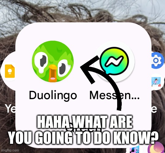 You think I meant to break my streak Duo? | HAHA WHAT ARE YOU GOING TO DO KNOW? | image tagged in duolingo bird | made w/ Imgflip meme maker