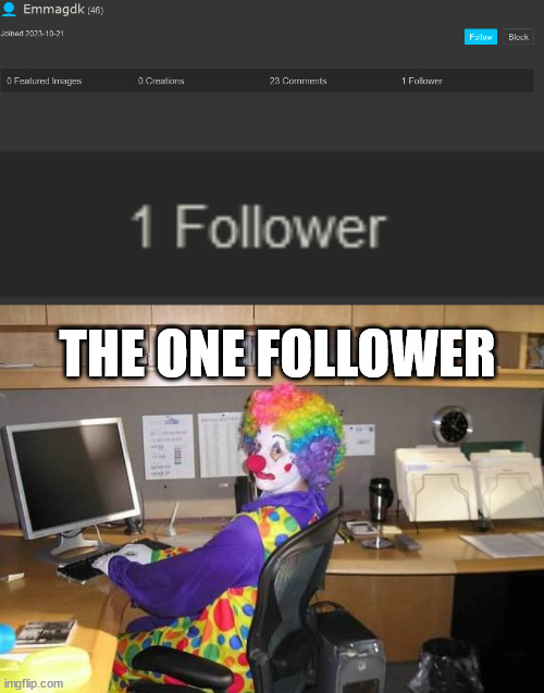 that or they're an alt | THE ONE FOLLOWER | image tagged in how yall mfs look | made w/ Imgflip meme maker