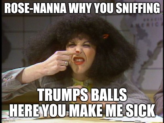 Nana | ROSE-NANNA WHY YOU SNIFFING; TRUMPS BALLS  HERE YOU MAKE ME SICK | image tagged in rosanna | made w/ Imgflip meme maker