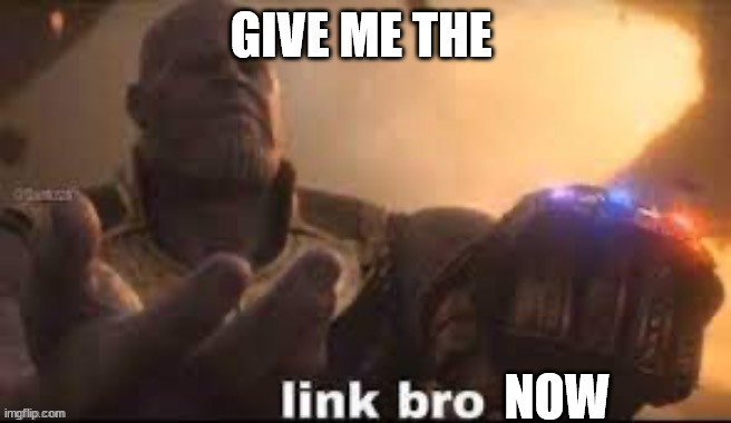 link bro | GIVE ME THE NOW | image tagged in link bro | made w/ Imgflip meme maker