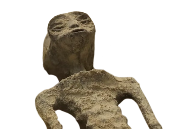 Mexican alien transparent Blank Meme Template